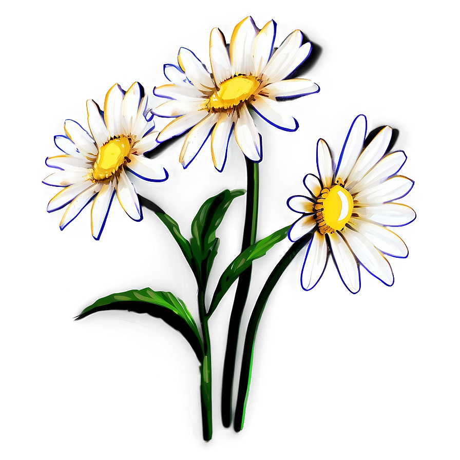 Stylized Daisies Drawing Png 68