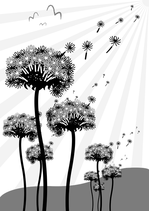 Stylized Dandelion Silhouettes