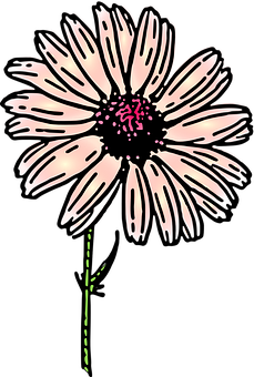 Stylized Dark Daisy Illustration