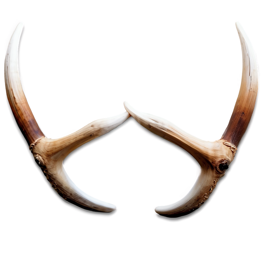 Stylized Deer Antler Art Png 06122024