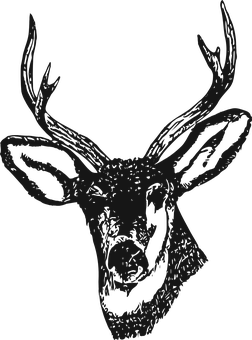 Stylized Deer Head Silhouette