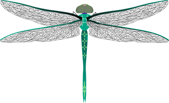 Stylized Dragonfly Illustration