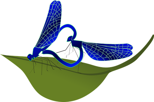 Stylized Dragonfly Illustration