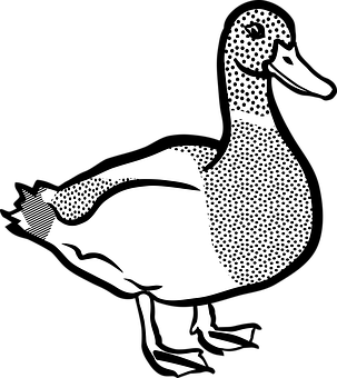 Stylized Duck Illustration Black White