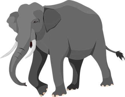 Stylized Elephant Illustration