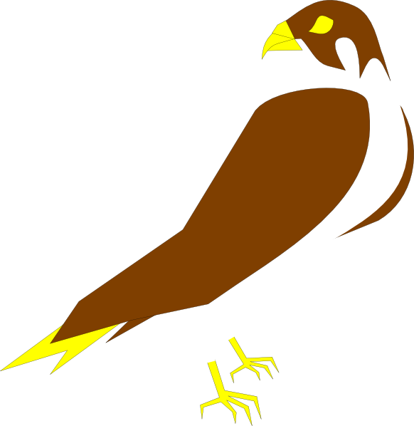 Stylized Falcon Illustration