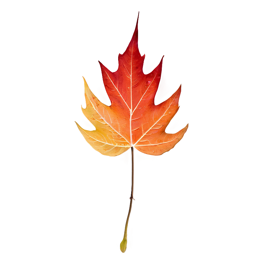 Stylized Fall Leaf Png Far1