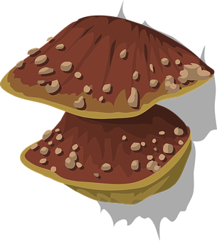 Stylized Fungus Illustration