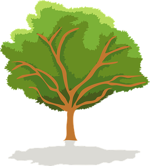 Stylized Green Tree Vector