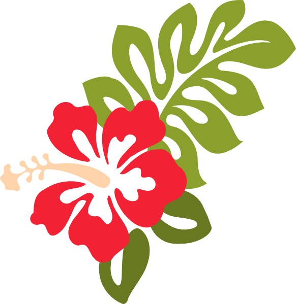 Stylized Hibiscus Graphic