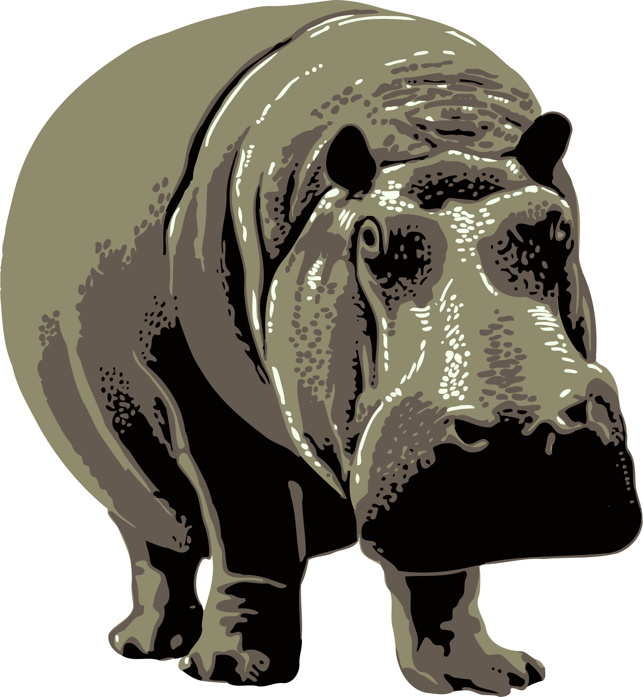 Stylized Hippo Illustration