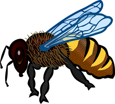 Stylized Honeybee Illustration