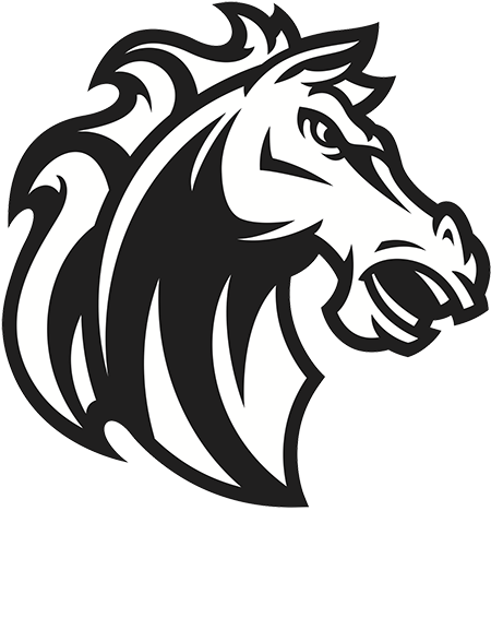 Stylized Horse Head Graphic