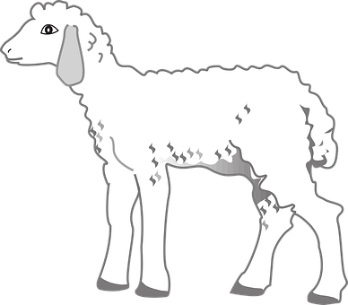 Stylized Lamb Illustration