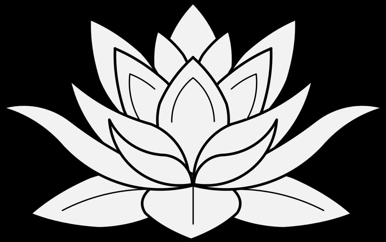 Stylized Lotus Flower Graphic