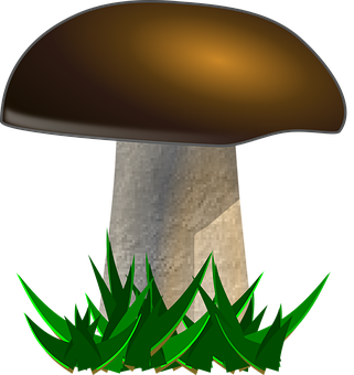 Stylized Mushroom Graphic