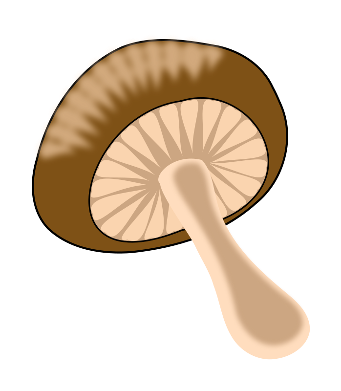 Stylized Mushroom Illustration