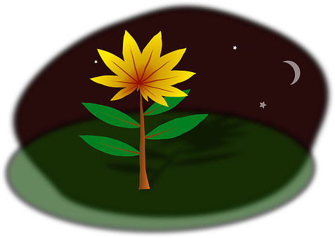 Stylized Nighttime Plant Illustration