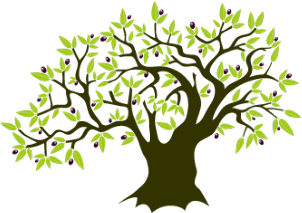 Stylized Olive Tree Illustration