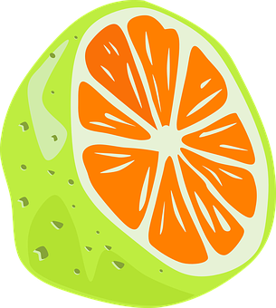 Stylized Orange Slice Illustration