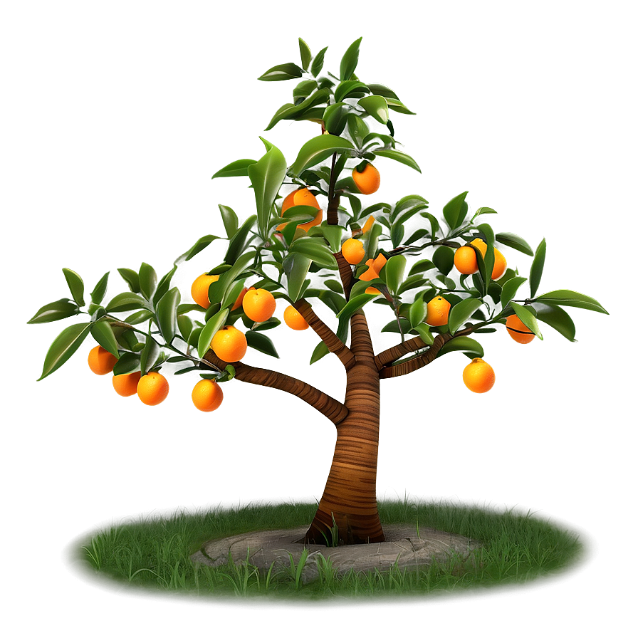 Stylized Orange Tree Png 23