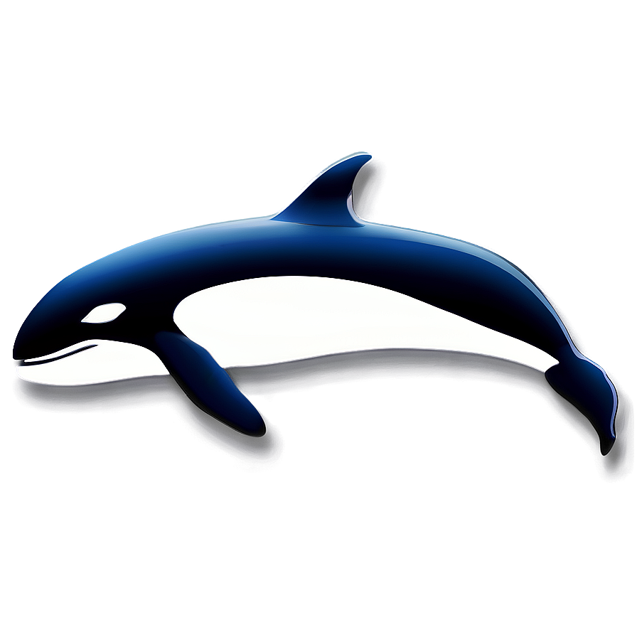 Stylized Orca Whale Icon Png 35