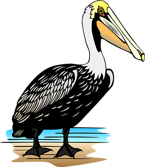 Stylized Pelican Illustration