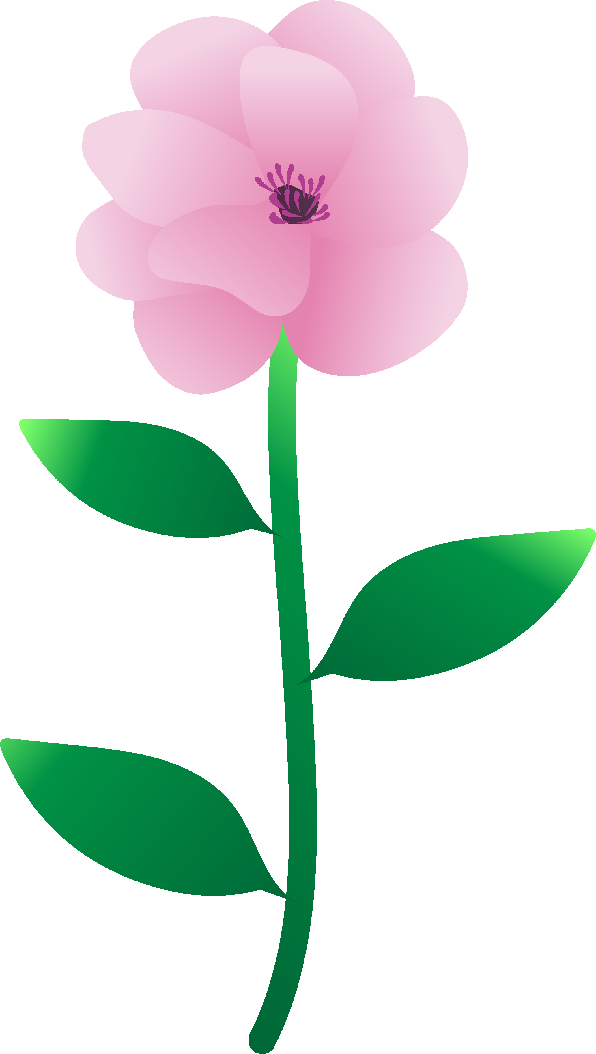 Stylized Pink Peony Vector