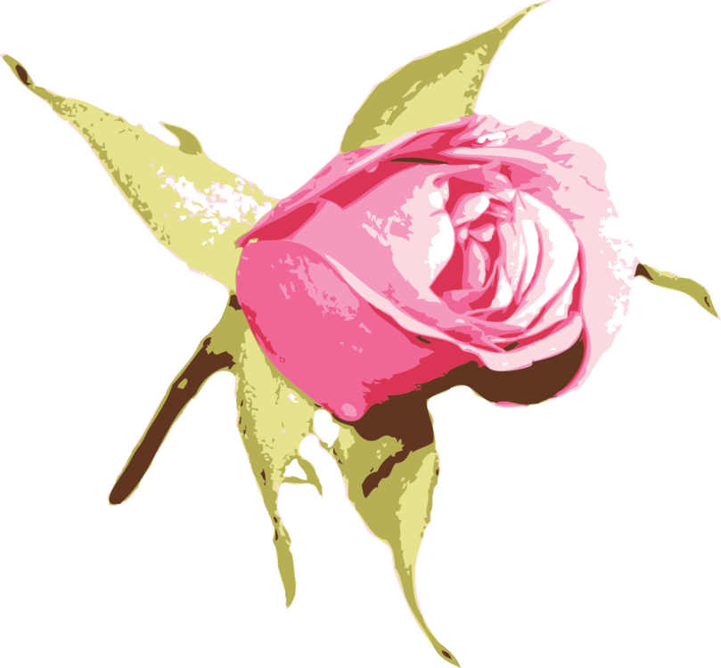 Stylized Pink Rose Artwork