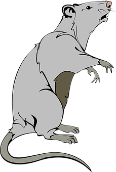 Stylized Rat Illustration