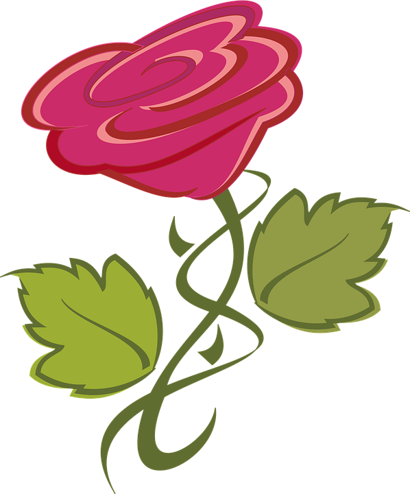 Stylized Red Rose Vector