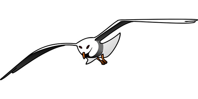 Stylized Seagull Graphic