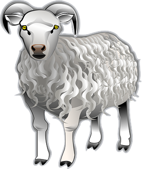 Stylized Sheep Illustration