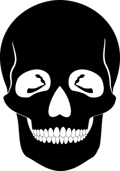 Stylized Skull Graphic