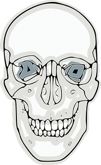 Stylized Skullwith Sunglasses