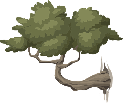 Stylized Vector Illustrationof Trees