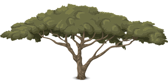 Stylized Vector Tree Illustration