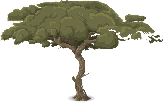 Stylized Vector Tree Illustration