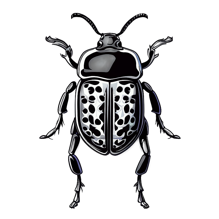 Stylized Weevil Drawing Png Oyb