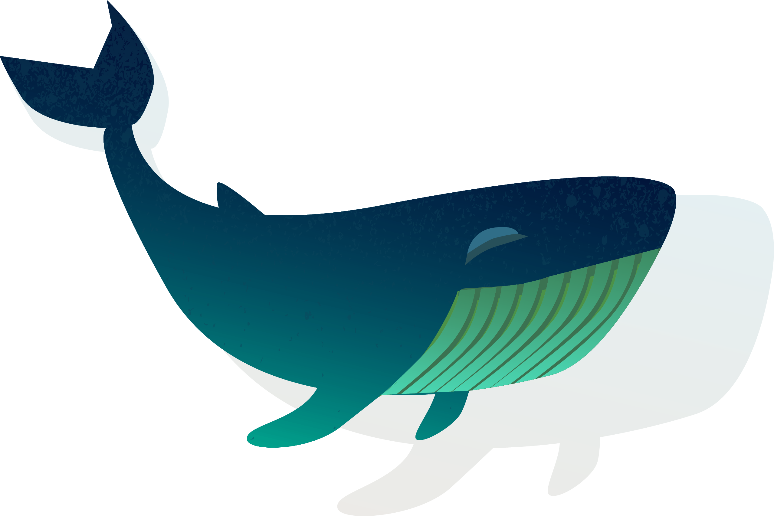 Stylized Whale Illustration