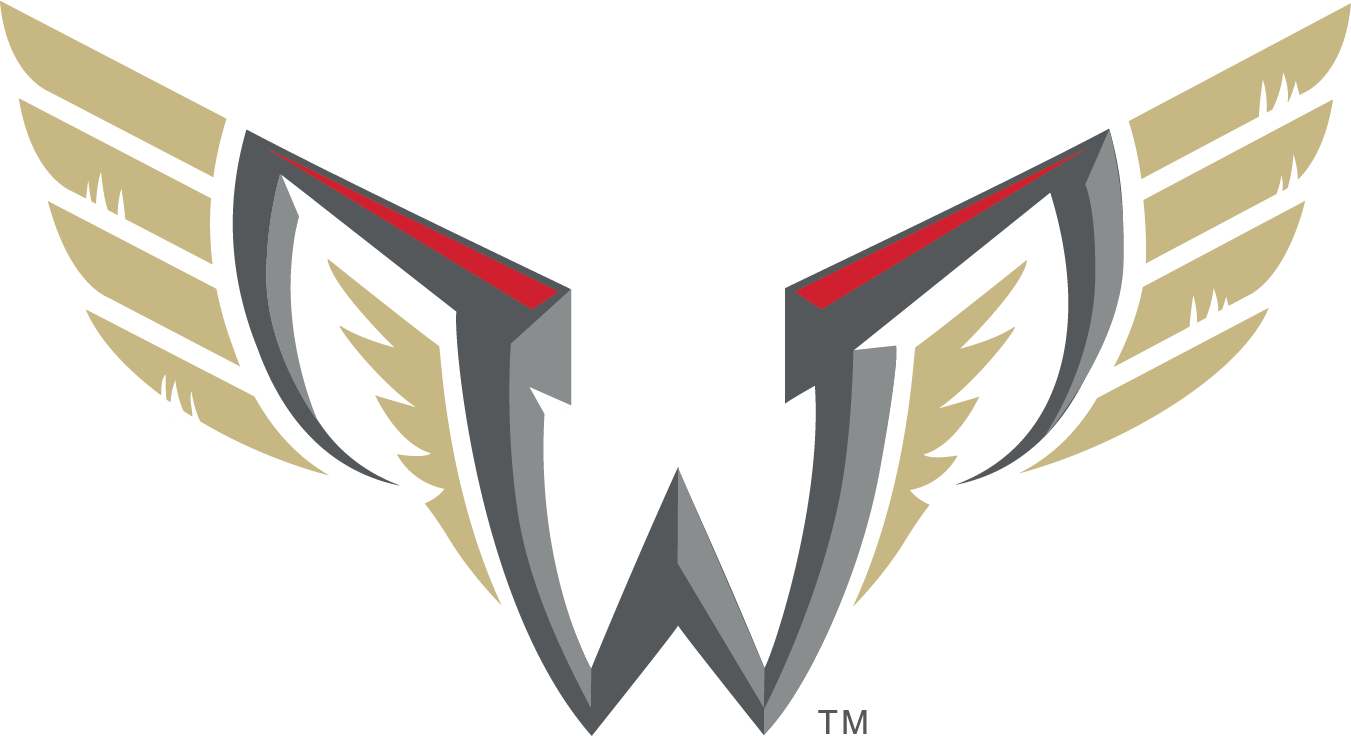 Stylized Wings Logo Design