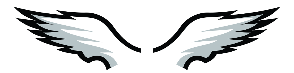 Stylized Wings Logo