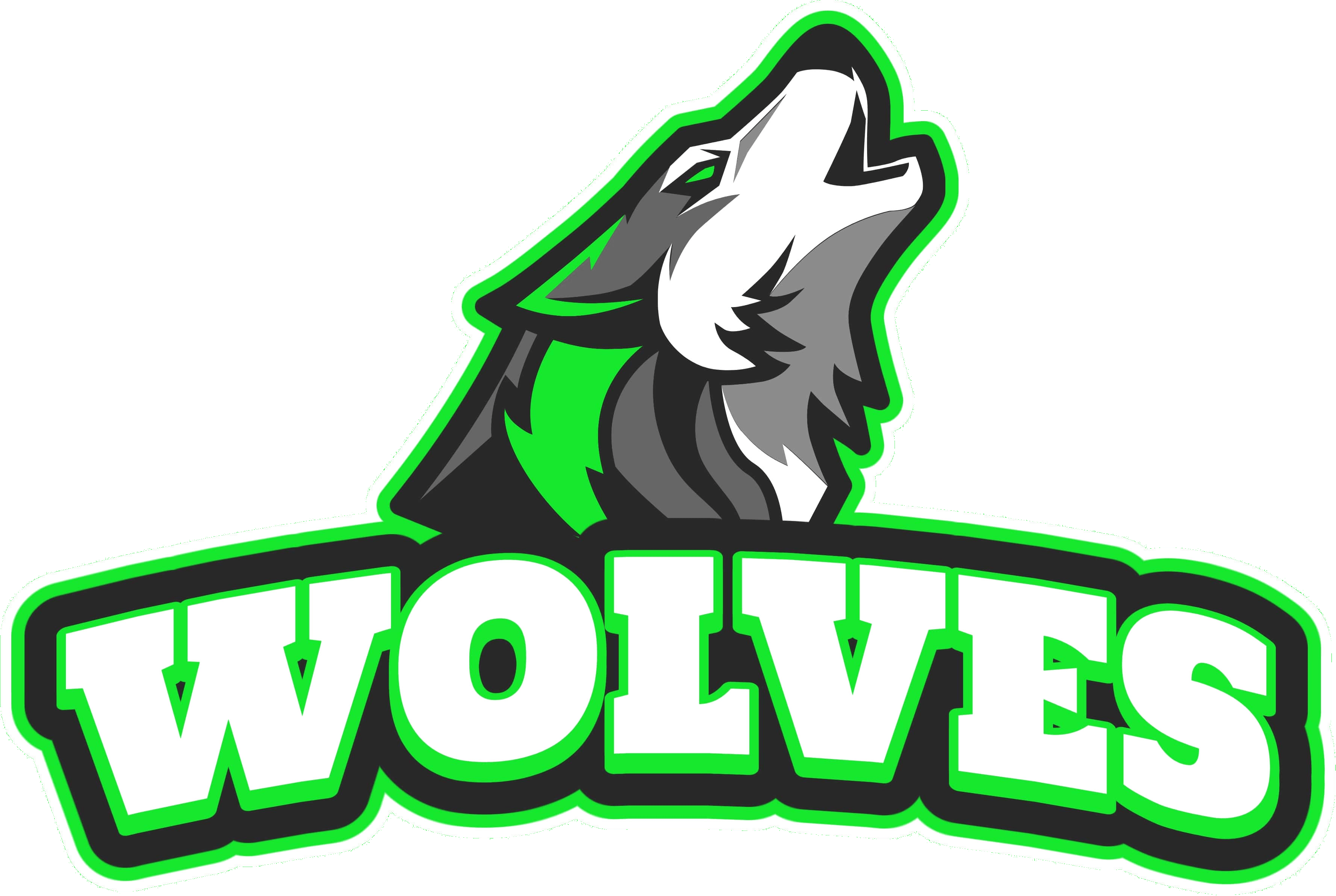 Stylized Wolf Team Logo