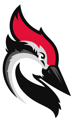 Stylized Woodpecker Graphic