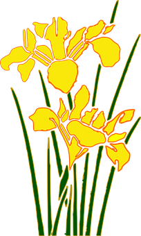 Stylized Yellow Iris Graphic