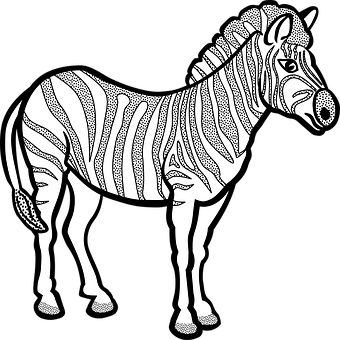 Stylized Zebra Illustration