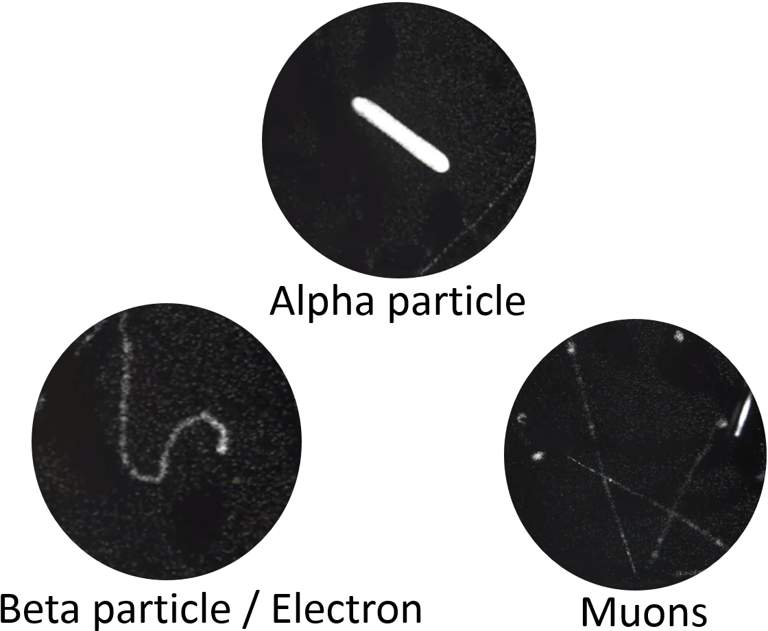 Subatomic Particles Tracks