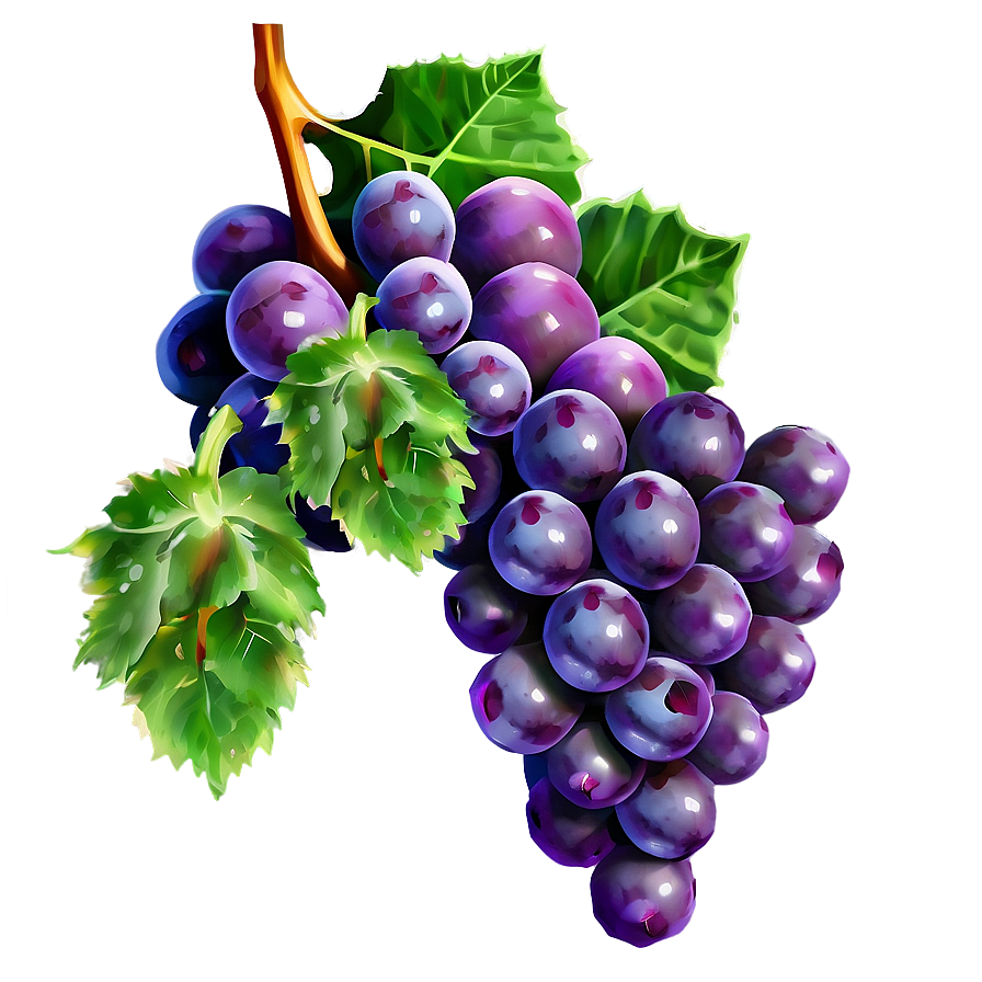 Succulent Grapes Png Nwp