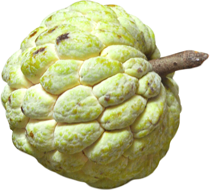 Sugar Apple Fruit Texture