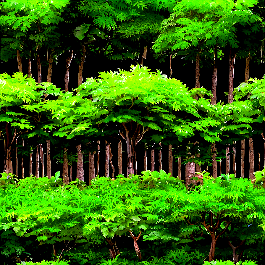 Summer Green Woods Png 4